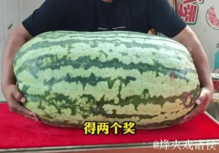 今日必看：吃瓜网全网热议大瓜集锦