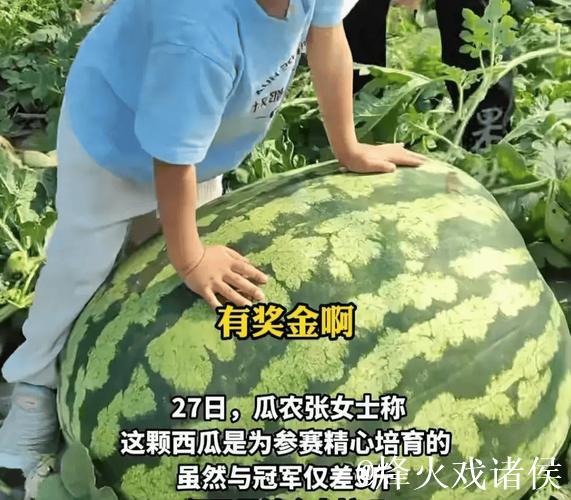 今日必看：吃瓜网全网热议大瓜集锦